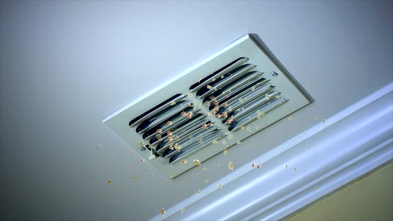 Trusted Wildwood, FL Airduct Cleaning Experts